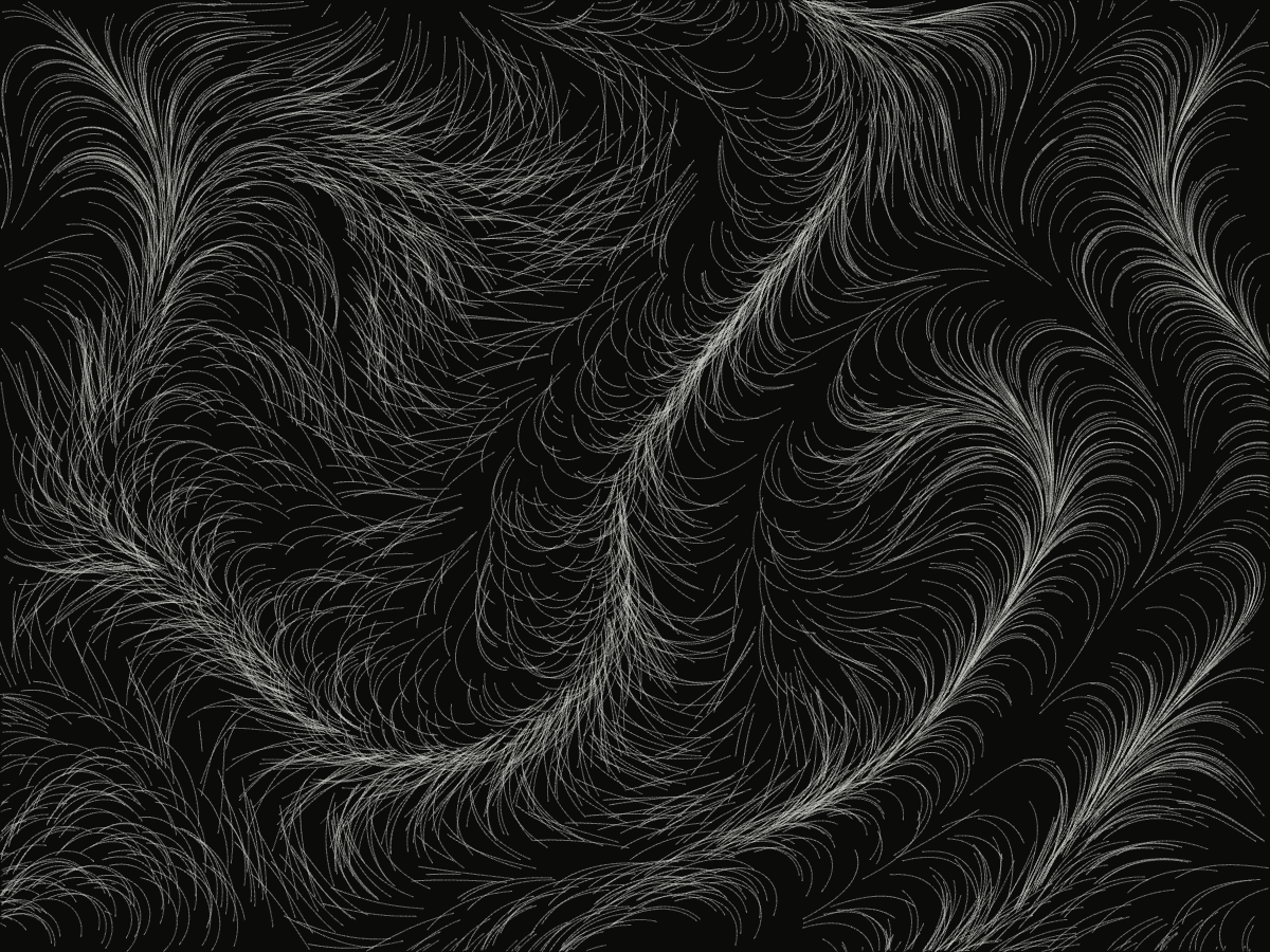 Flow Field, thousands of particles drifting through evolving perlin noise.